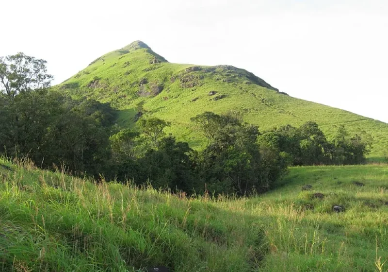 Wayanad scenery for a group getaway from Bangalore